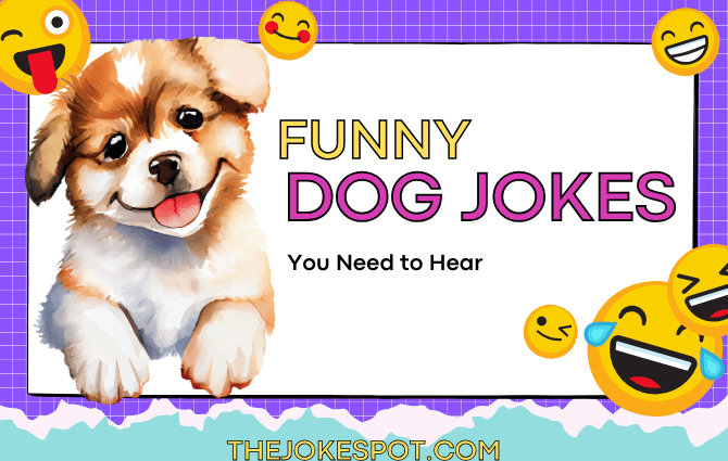 Funny Dog Jokes